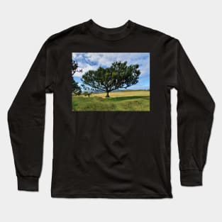 Madeira, motif 1 Long Sleeve T-Shirt